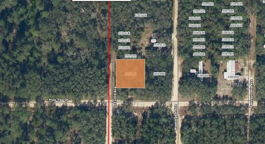 pine tree dr