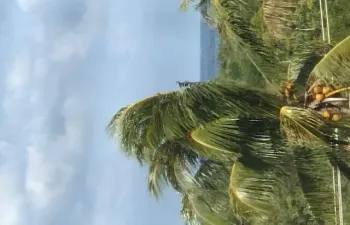Ocean View