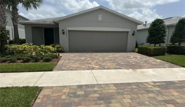 DRIVEWAY VIEW