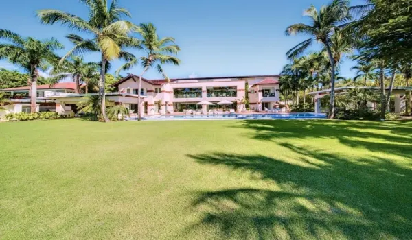 naranjos