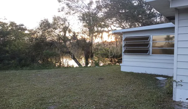 See The river