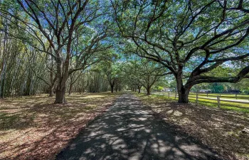 AI ENHANCED DRIVEWAY