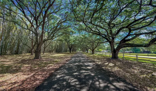AI ENHANCED DRIVEWAY