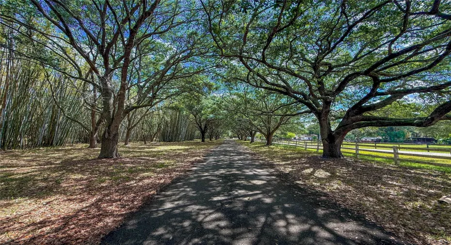 AI ENHANCED DRIVEWAY