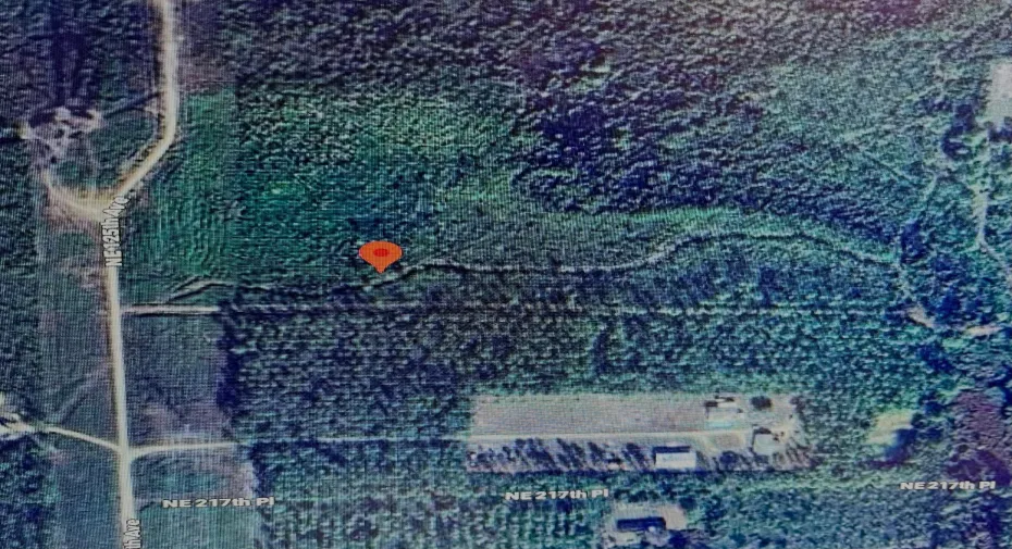 DJI_0876