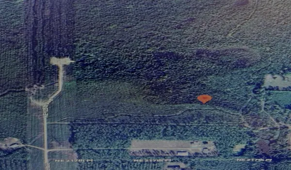 DJI_0877