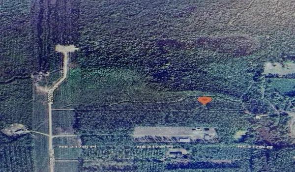 DJI_0910