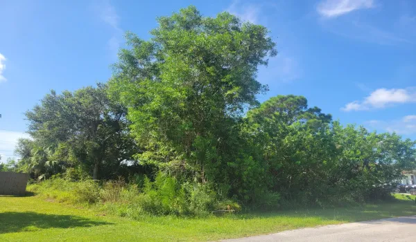 1 large tree in front and a few large trees in back. Oversized wide lot at 83 feet instead of the standard 80 feet. Larger homes can fit or have more room available between the homes.