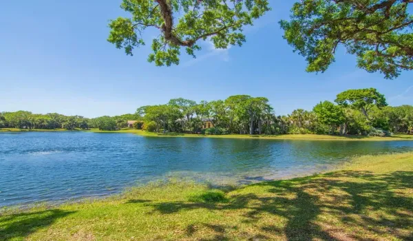 POND TO WEST OF CONDO