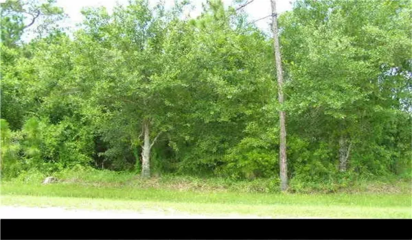 1 / 2 View of Nature