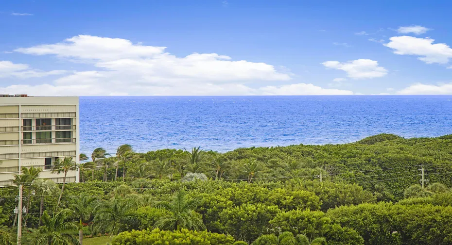 Ocean Views