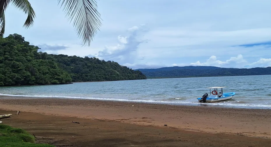 National Treasure parcel Beach