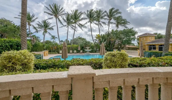 view from patio