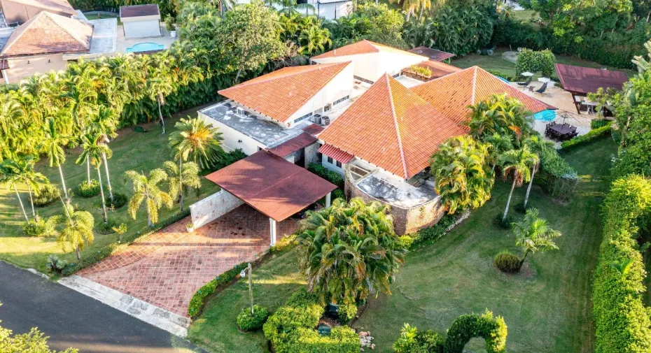 dron image