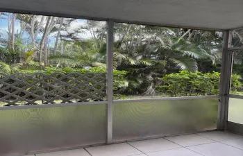 Backyard Tropical View