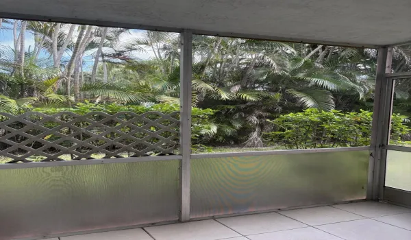 Backyard Tropical View