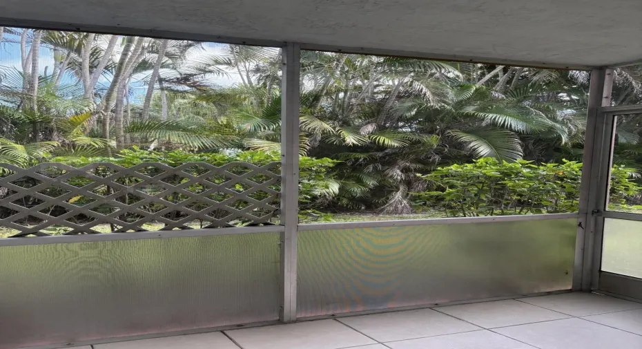 Backyard Tropical View
