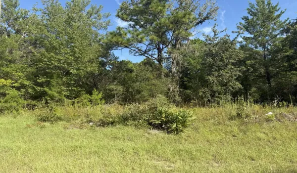 79TH TERRACE ROAD DUNNELLON