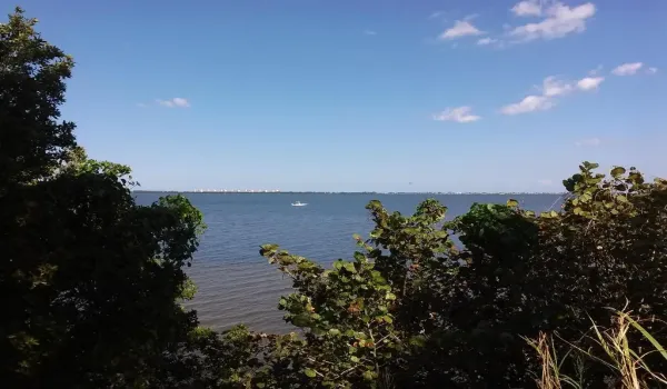 Veiw from my land East of road.