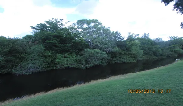 Patio Canal View