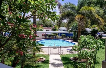 Tropical Pool Area
