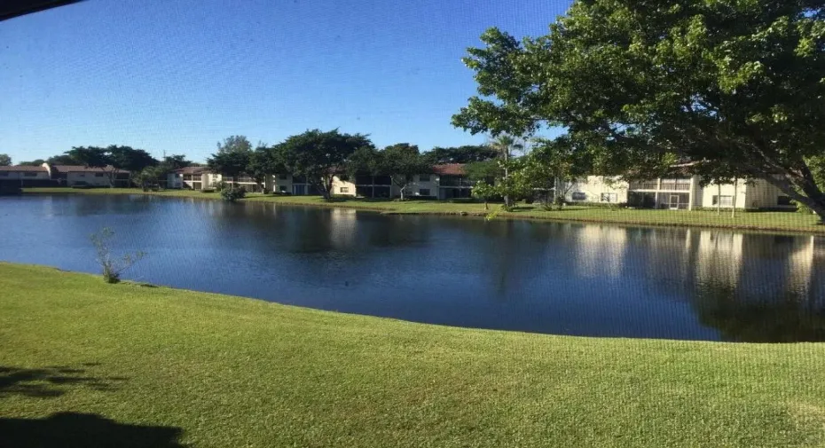 LAKE VIEW