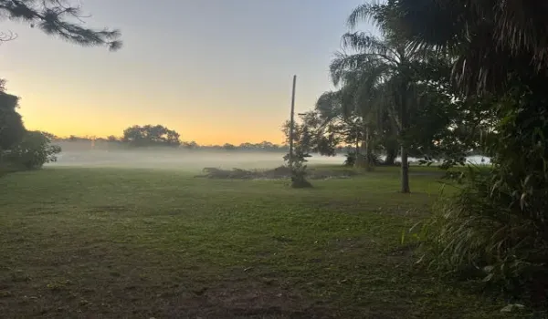 3 acres dawn