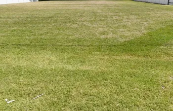 Cleared lot