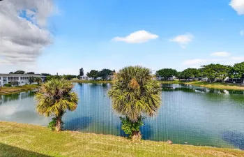View from the Florida Room