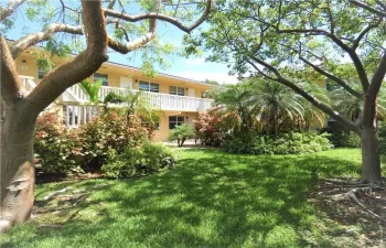 Frontyard