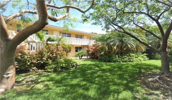 Frontyard