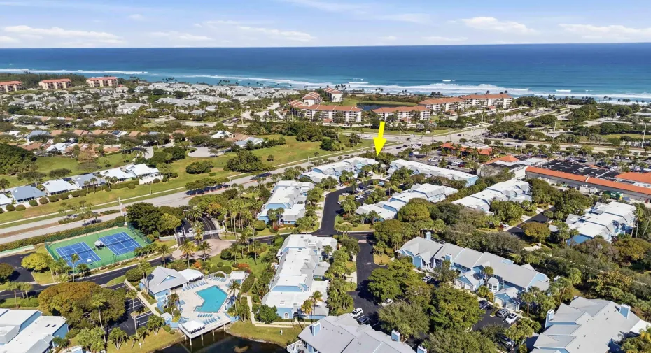 Ocean Dunes