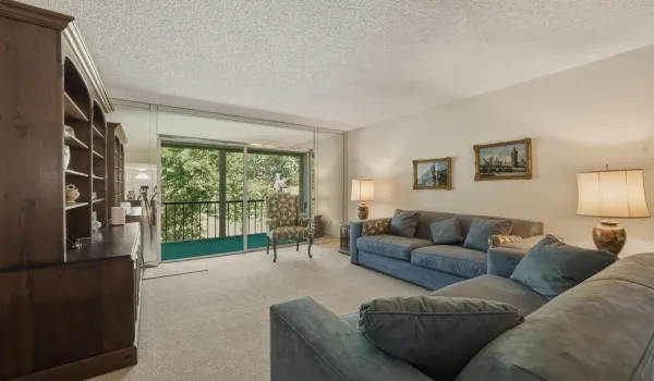 Living Room alone