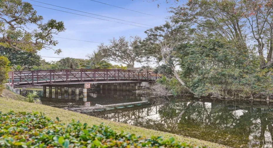 Bridge View