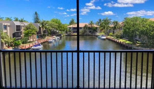 Beutiful view from the living room and the kitchen