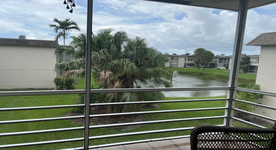 View from Patio