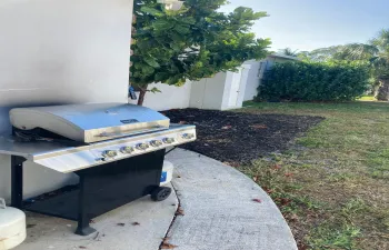 Backyard 2