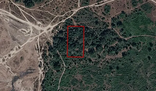 Screenshot 2026-03-04 110645