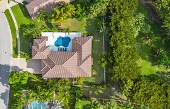 Bird’s Eye View