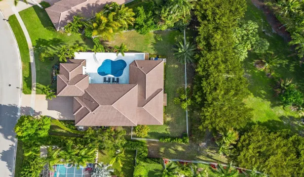 Bird’s Eye View