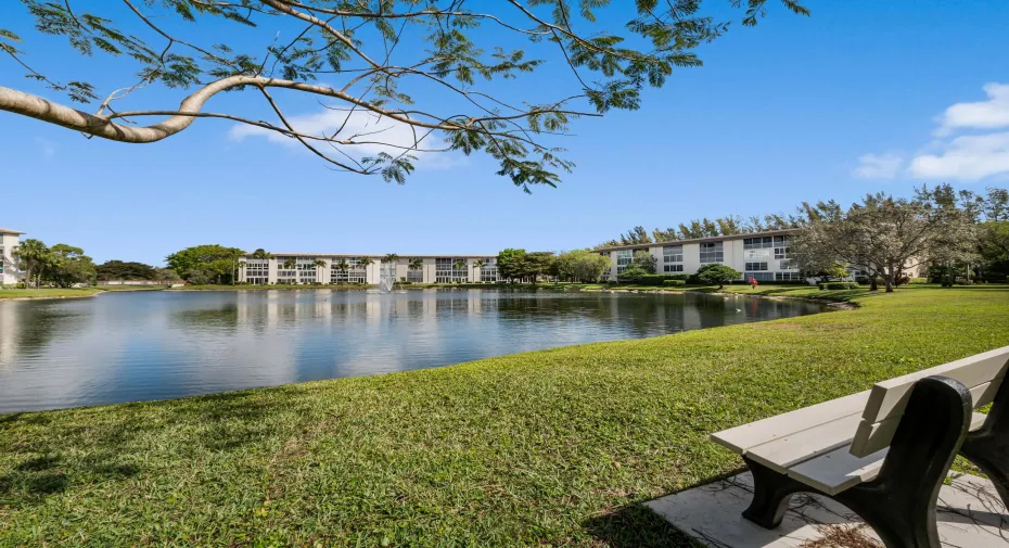 Lake view