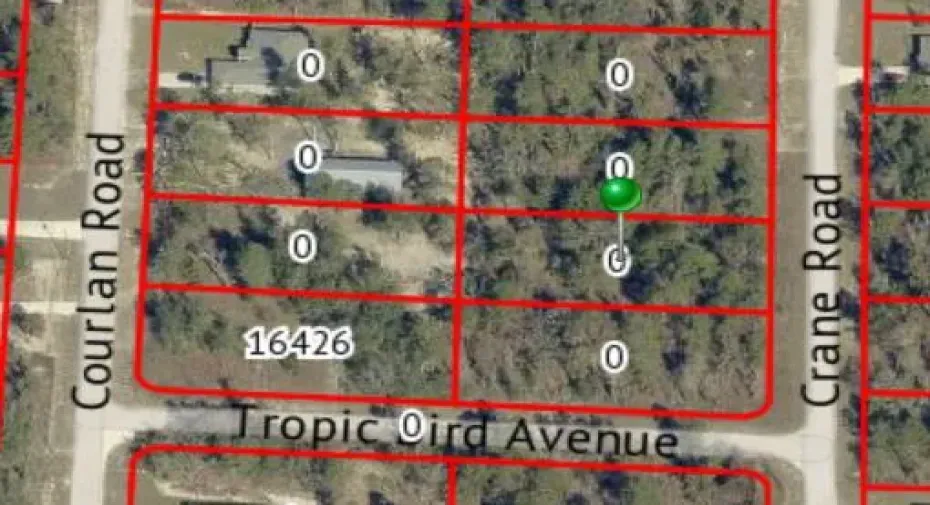 LOT CRANE RD - CALVILLO
