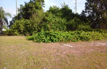 Partially cleared