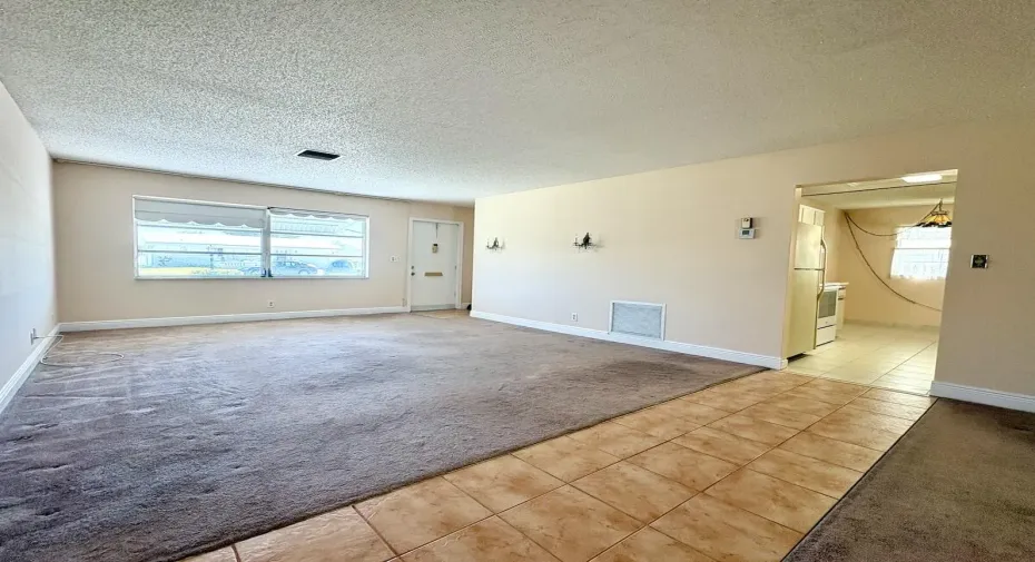 Living room and entrance