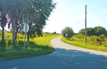Pineapple Lane