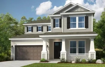 Bermuda Rendering