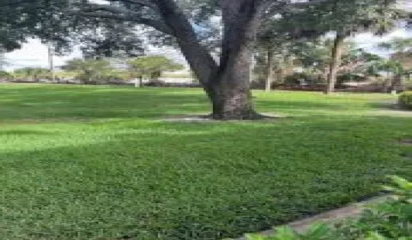 3017 30th Ct Preserve View