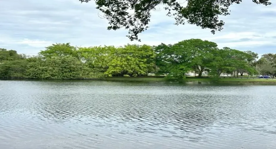 unit view