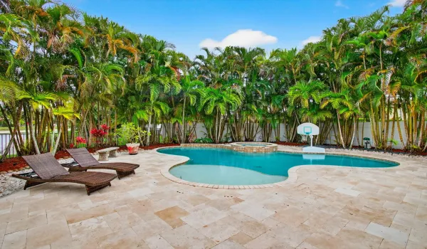 Tropical Oasis
