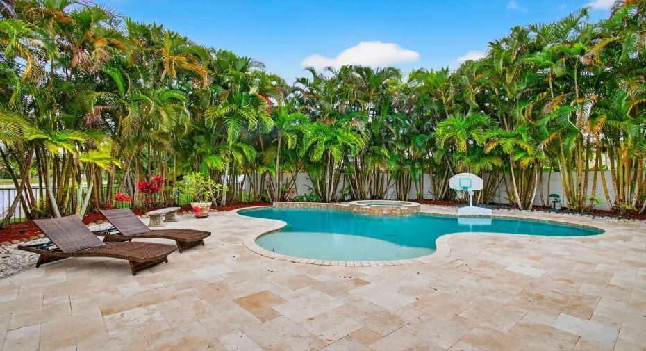 Tropical Oasis